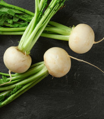 Ředkev Acord F1 - Raphanus sativus - semena ředkve - 150 ks