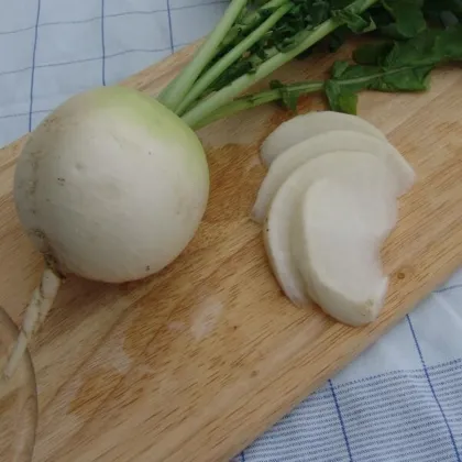 Ředkev Acord F1 - Raphanus sativus - semena ředkve - 150 ks