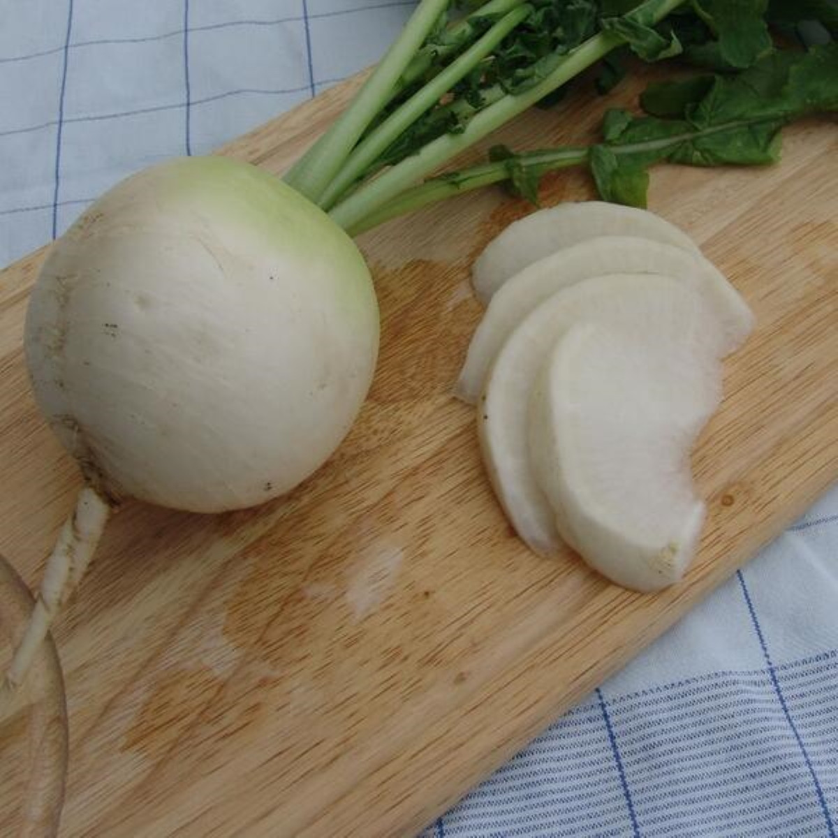 Ředkev Acord F1 - Raphanus sativus - semena ředkve - 150 ks