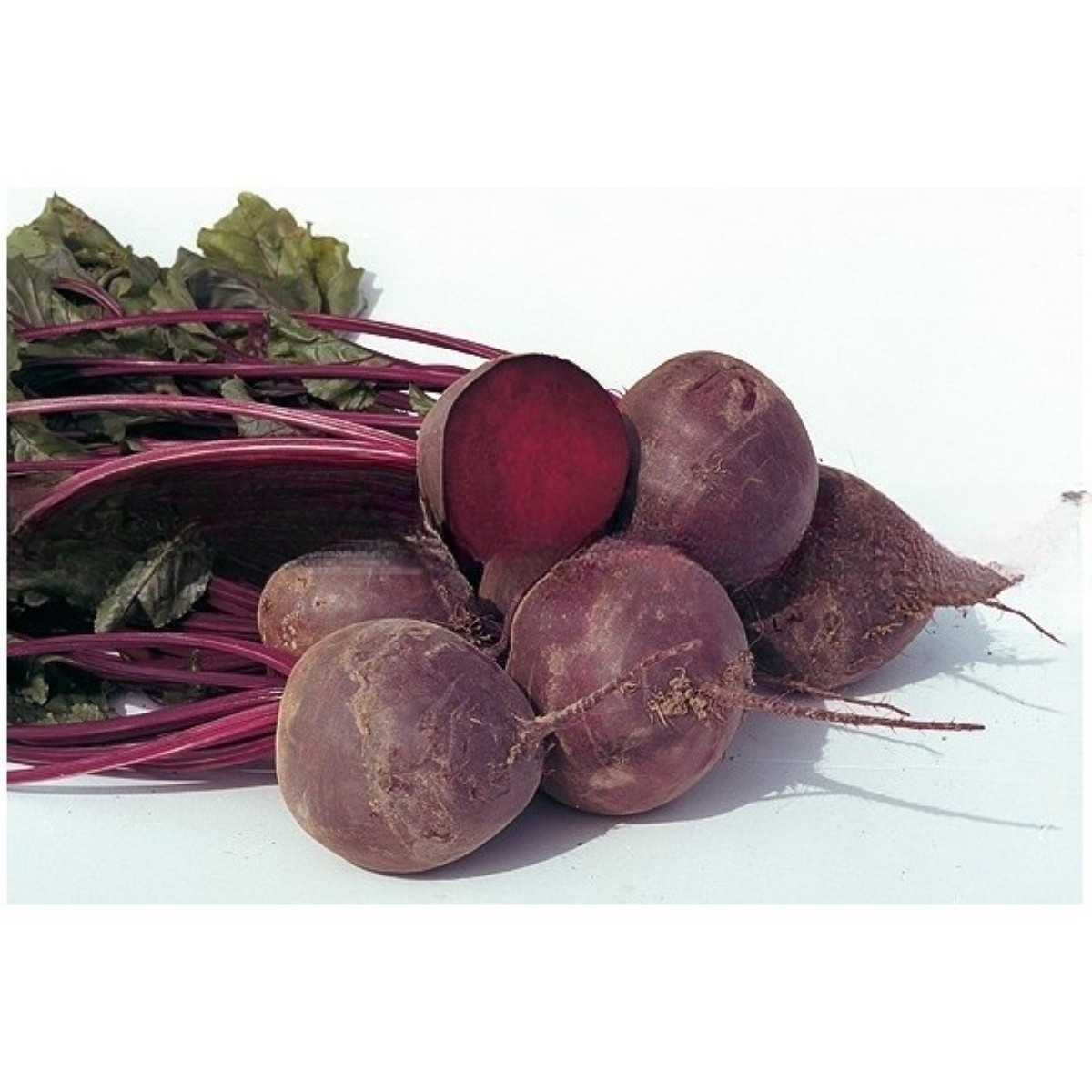 BIO Červená řepa Boro F1 - Beta vulgaris - semena řepy - 50 ks