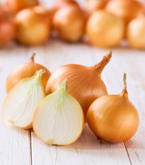 Sazečka Winteria - Allium cepa - cibulky - 250 g