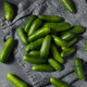 Okurka salátová Little Snack F1 - Cucumis sativus - semena okurky - 8 ks