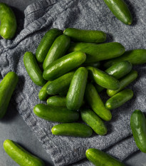 Okurka salátová Little Snack F1 - Cucumis sativus - semena okurky - 8 ks