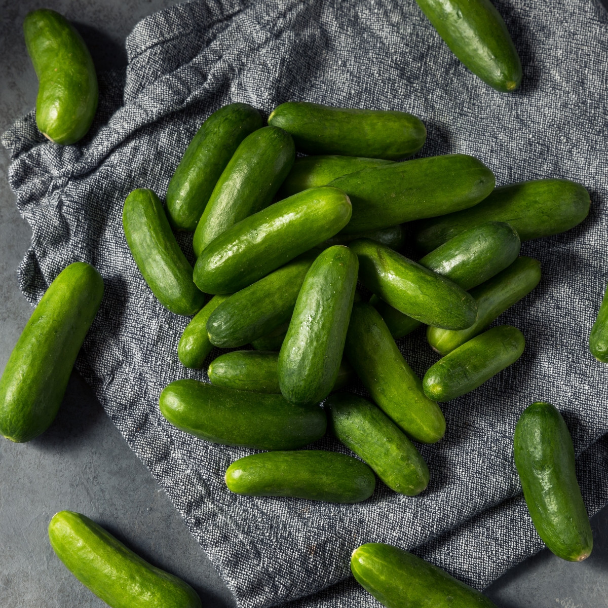 Okurka salátová Little Snack F1 - Cucumis sativus - semena okurky - 8 ks