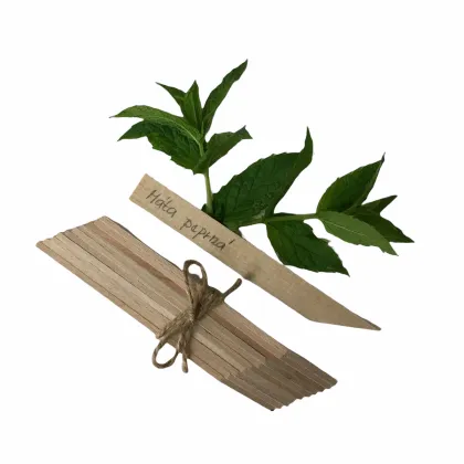 Zápich pro označení sazenic - dřevěné pomůcky - 1 ks