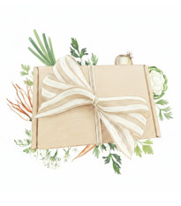 Dárkový balíček zeleniny do polévky - sada semínek