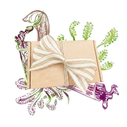 Dárkový balíček masožravek - sada semínek