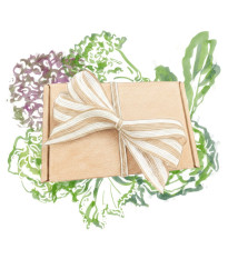 Dárkový balíček listové zeleniny - sada semínek