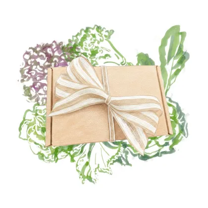 Dárkový balíček listové zeleniny - sada semínek