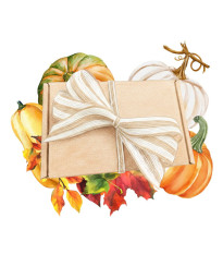 Dárkový balíček dýní - sada semínek