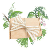 Dárkový balíček palem - sada semínek