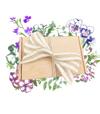 Dárkový balíček květů do truhlíku - sada semínek
