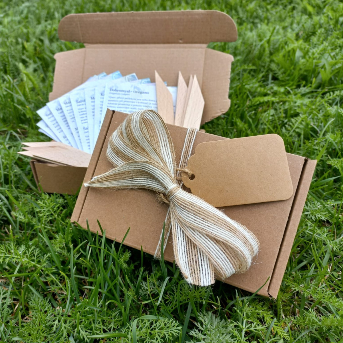 Dárkový balíček pro muže - sada semínek