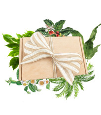 Dárkový balíček pokojových rostlin - sada semínek