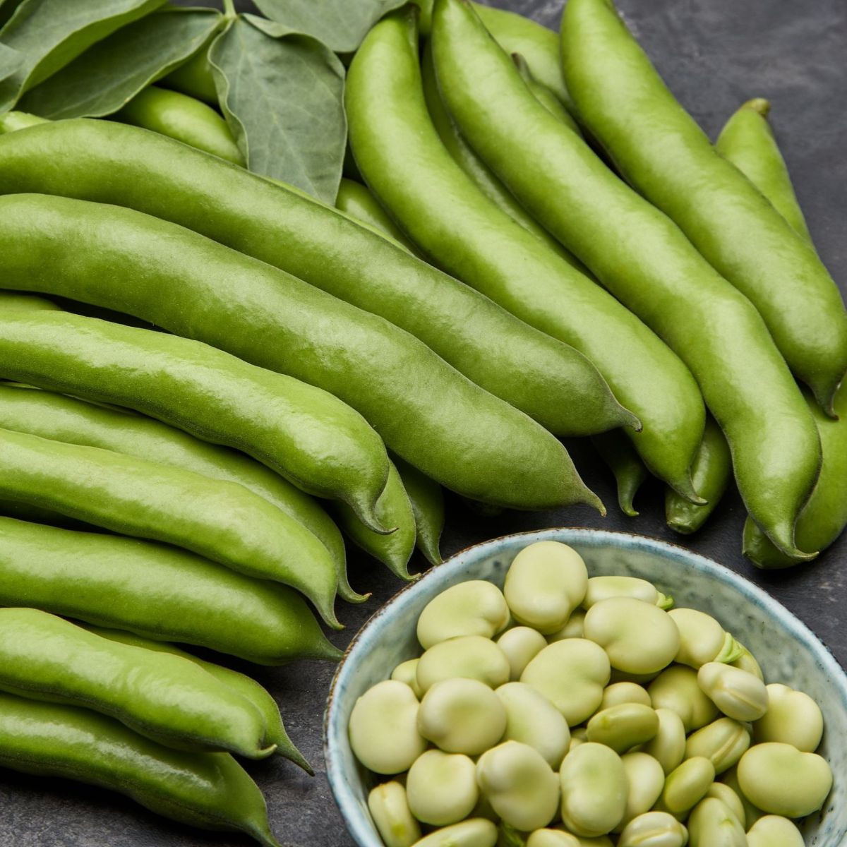 Bob közönséges fehér Dreifach Weisse – Vicia faba – babmag – 20 db