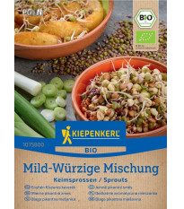 BIO Finoman fűszeres keverék - bio csíráztatásra szánt magok - 40 g