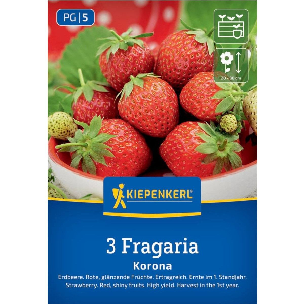 Korona eper - Fragaria ananassa - szabadgyökerű eperpalánta - 3 db