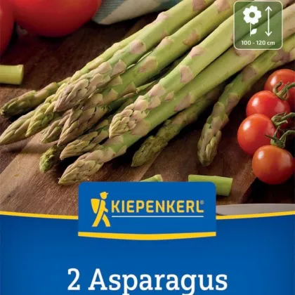Zöld spárga Boonlim - Asparagus officinalis - szabadgyökerű spárga palánták - 2 db