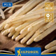 Gijnlim fehér spárga - Asparagus officinalis - szabadgyökerű spárga palánták - 2 db