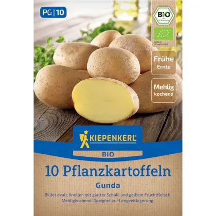 BIO vetőburgonya Gunda - Solanum tuberosum - bio burgonya - 10 db