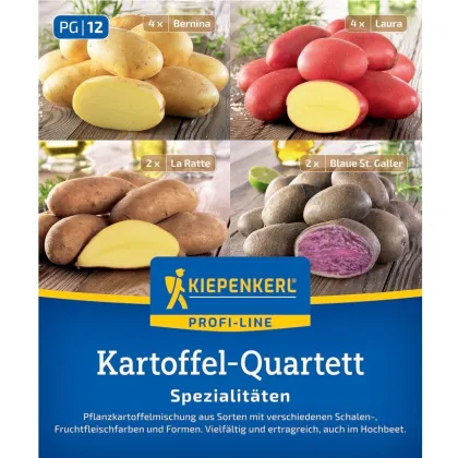 Sadbové burgonya - 4 fajta - Solanum tuberosum - 12 db