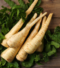 Pasternák hosszú fehér Halblange - Pastinaca sativa - paszternák magok - 1 g