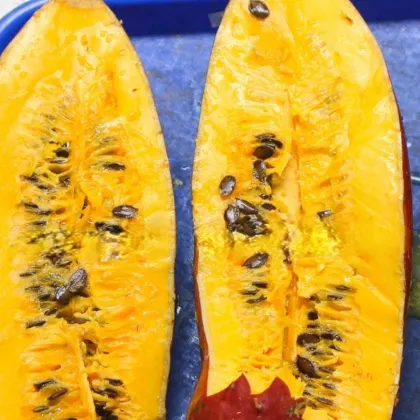 Muskotályos uborka - Sicana odorifera - uborkamag - 6 db