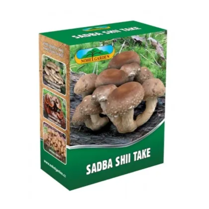 Sadba Shii take – Houževnatec jedlý – Lentinula edodes – sadba hub