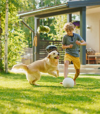 Trávník Sport – fűmag – Kiepenkerl – keverék