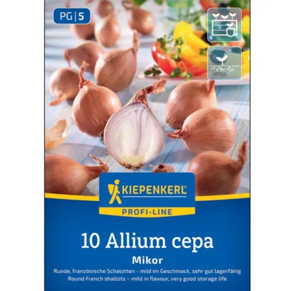Cibule šalotka Mikor – Allium cepa – cibulky – pěstování