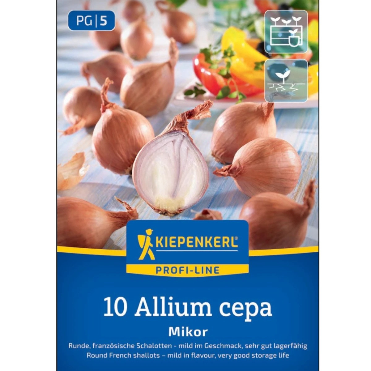 Cibule šalotka Mikor – Allium cepa – cibulky – pěstování