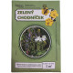 Zelený chodníček – luční kvítí – směs – semena Planta Naturalis