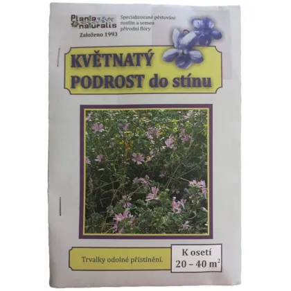 Květnatý podrost do stínu – luční kvítí – směs