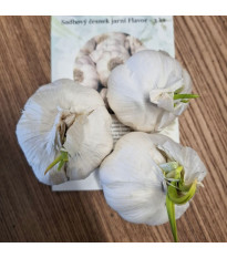 Flavor fokhagyma - Allium sativum - lágy szárú - fokhagymagumó - 3 db