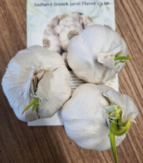 Flavor fokhagyma - Allium sativum - lágy szárú - fokhagymagumó - 3 db