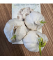 Flavor fokhagyma - Allium sativum - lágy szárú - fokhagymagumó - 3 db