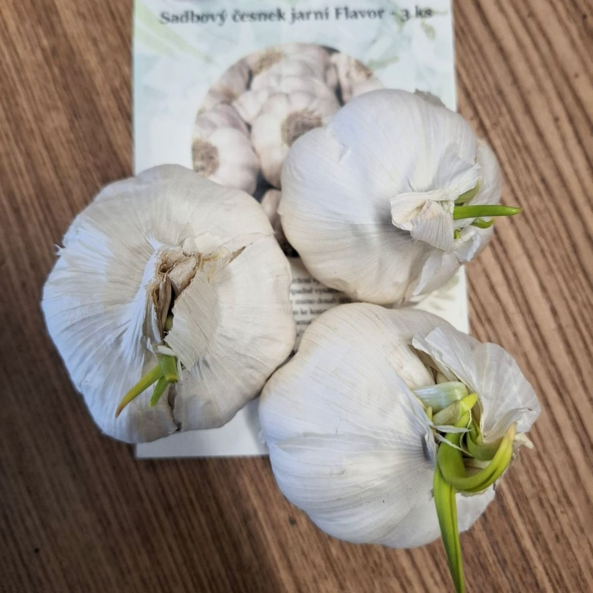 Flavor fokhagyma - Allium sativum - lágy szárú - fokhagymagumó - 3 db