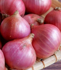 Camelot F1 salotta hagyma - Allium cepa - hagymamag - 50 db