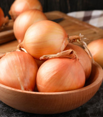 Cibule ozimá Augusta - Allium cepa - semena cibule - 250 ks