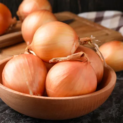 Augusta téli hagyma - Allium cepa - hagymamag - 250 db