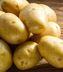 Princess vetőburgonya - Solanum tuberosum - 5 kg