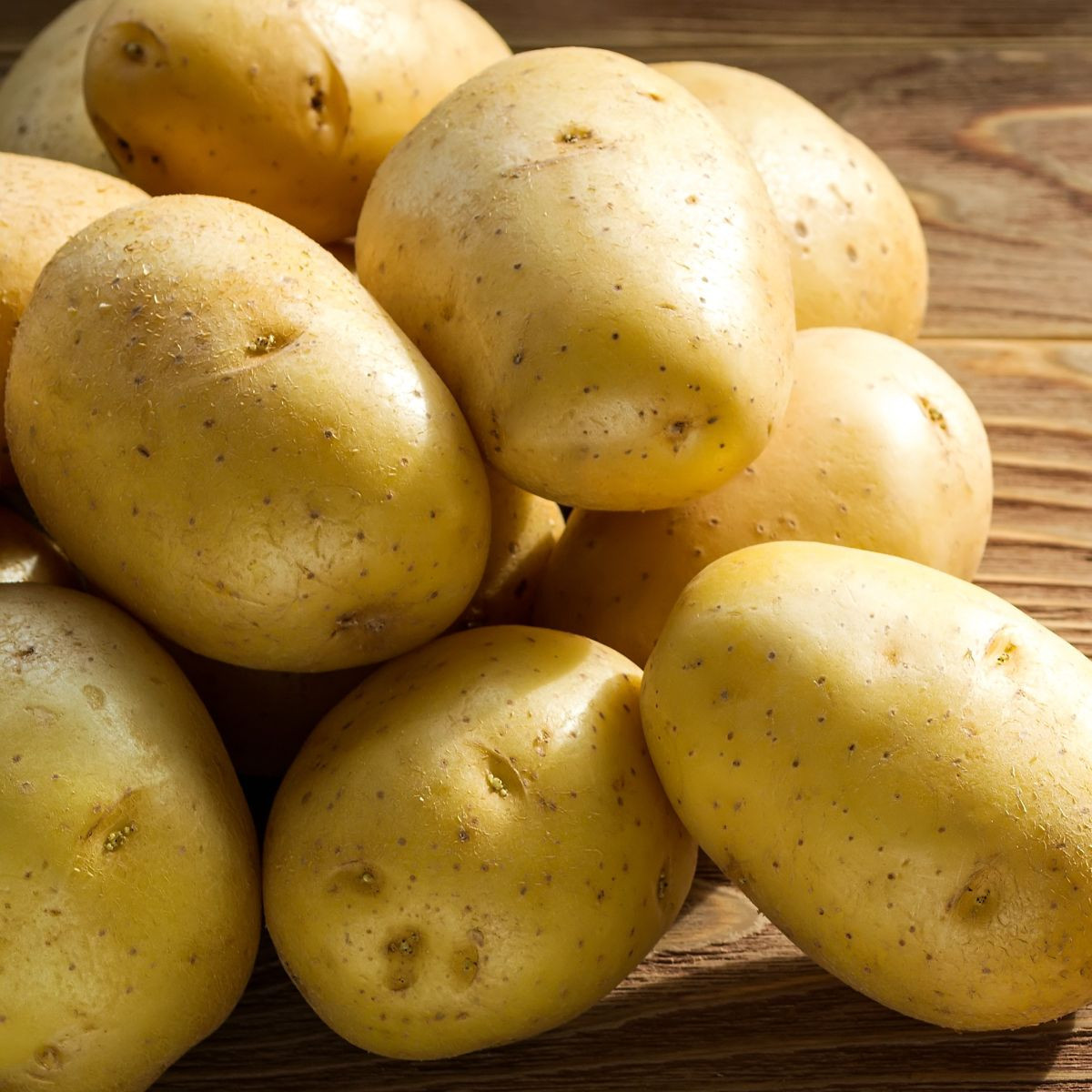 Sadbové brambory Princess - Solanum tuberosum - 5 kg
