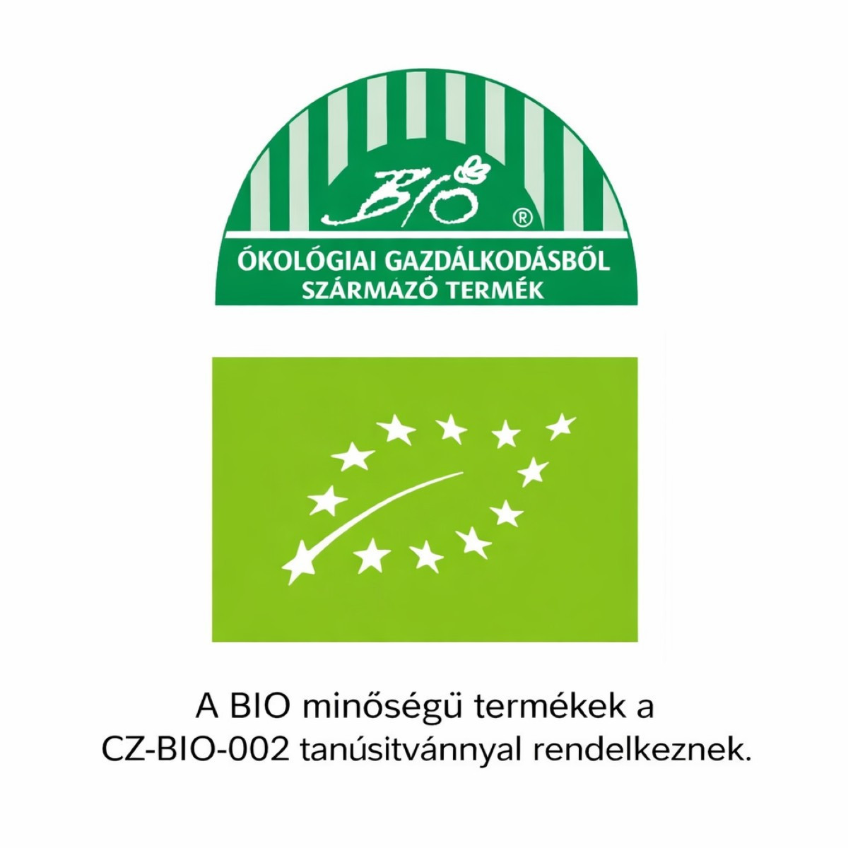 Bio mustármag – Brassica juncea – magok ökológiai gazdálkodásból