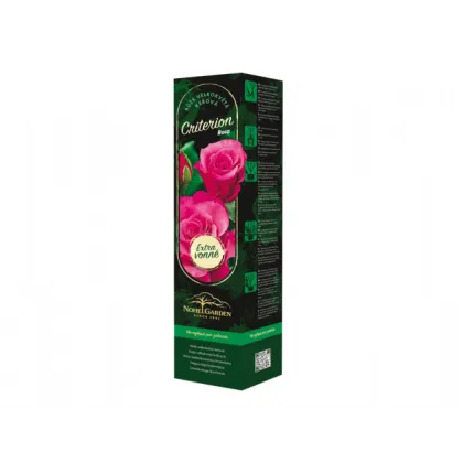 Nagyvirágú bokorrózsa Criterion – Rosa – rózsatő