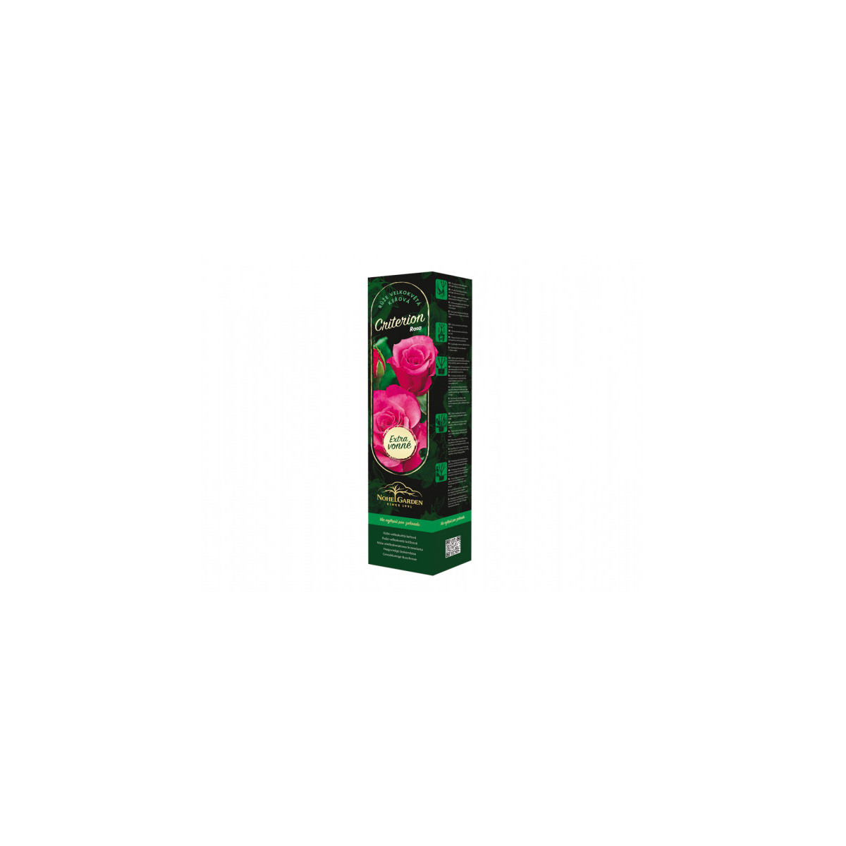 Nagyvirágú bokorrózsa Criterion – Rosa – rózsatő