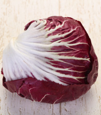 Radicchio Indigo F1 – Cichorium intybus – cikóriamag