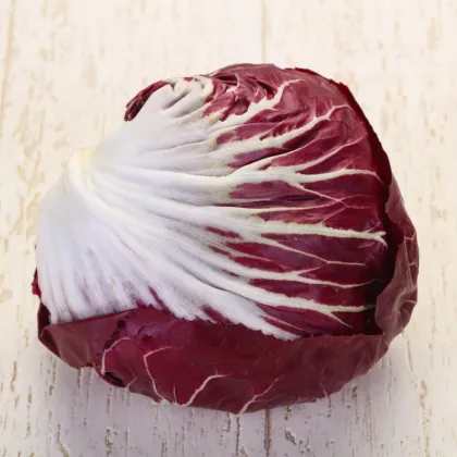 Radicchio Indigo F1 – Cichorium intybus – cikóriamag