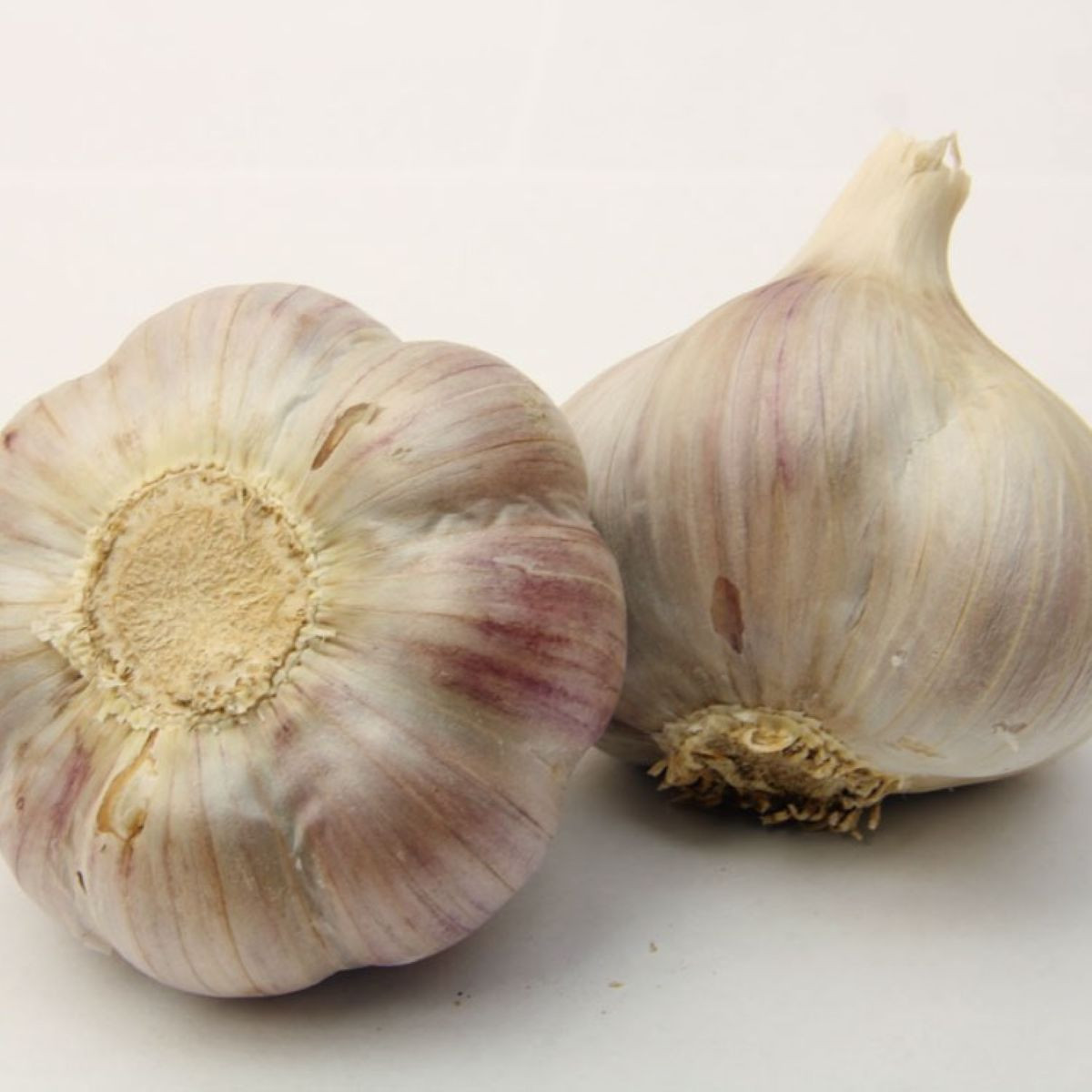 Bjetin ültetőhagyma – Allium sativum – őszi keményfajta – hagymagumók – 1 csomag