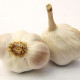 Japo II ültetési fokhagyma – Allium sativum – nem virágzó fajta – fokhagyma hagymák – 1 csomag