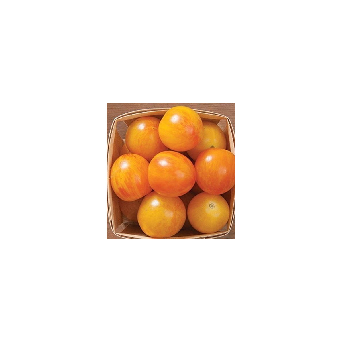 Rajče Artisan Golden Bumble Bee - Solanum lycopersicum - semena rajčete - 5 ks
